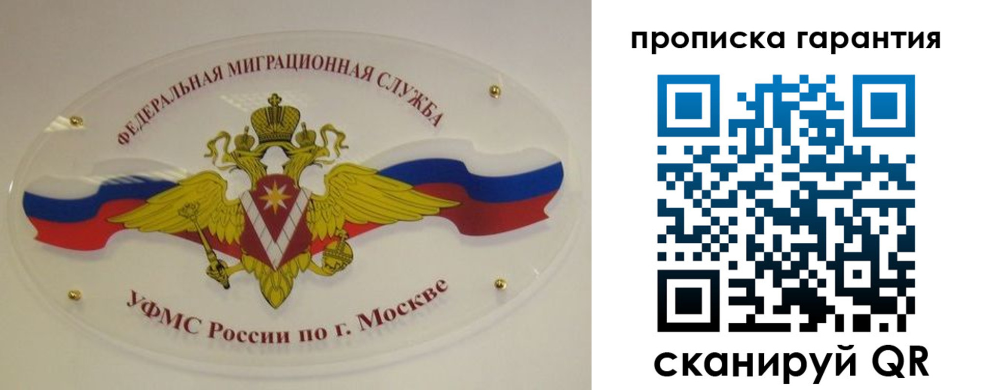 прописка штамп в Павловске
